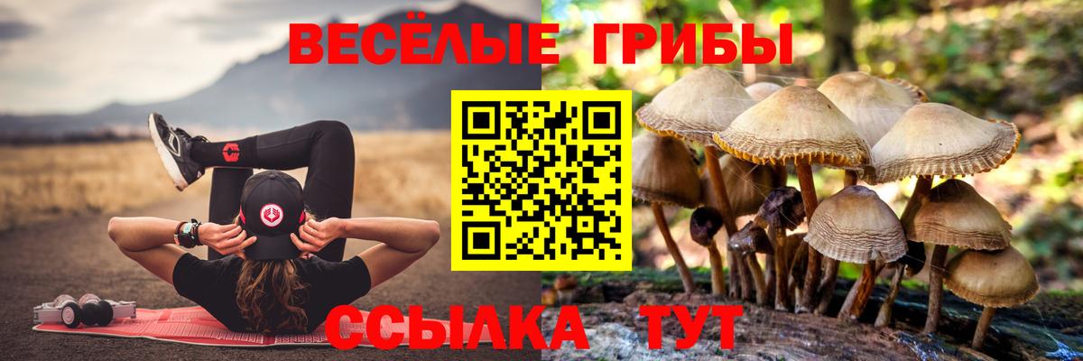 Галлюциногенные грибы прущие грибы Феодосия